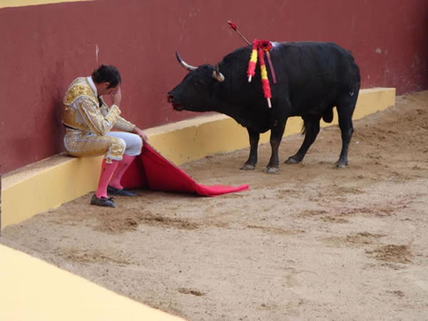 bullfighter