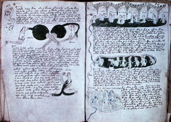 The Voynich Manuscript 1500s
