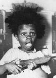 buckwheat